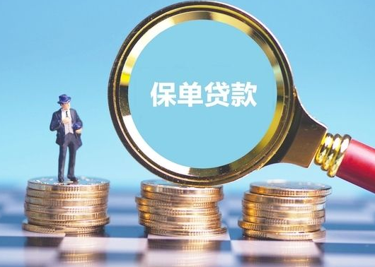 保单贷款